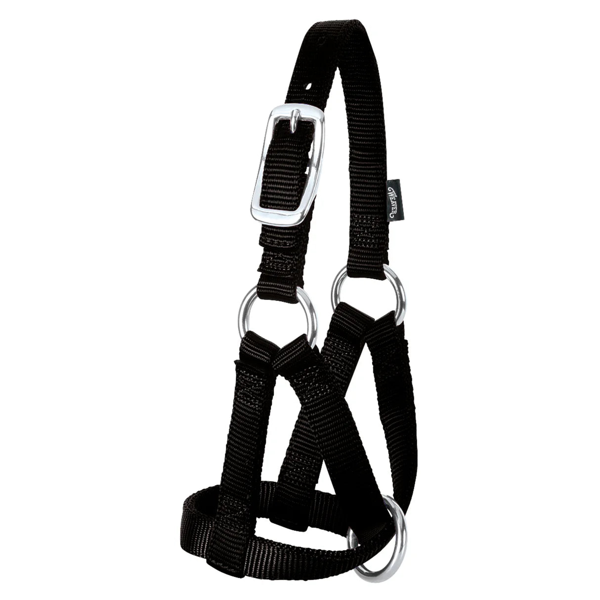 Black halter with metal buckles for goats on a white background