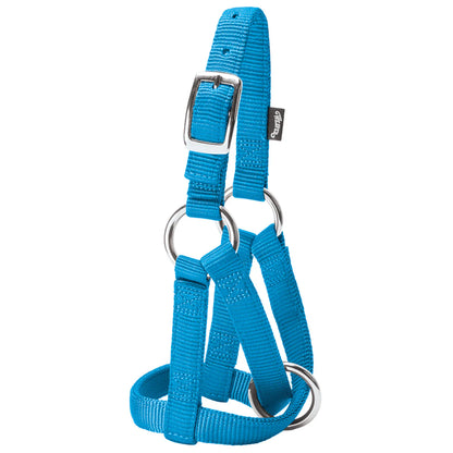 Hurricane Blue halter with metal buckles for goats on a white background