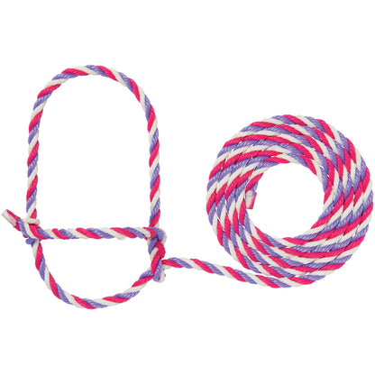 Pink, purple and white rope halter with a loop for cattle on a white background