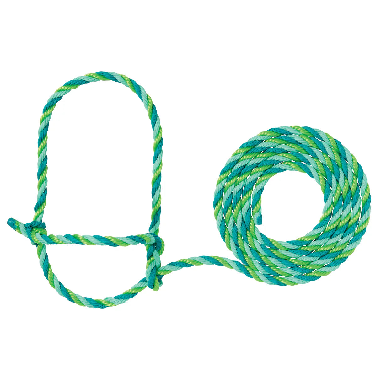 Teal and green rope halter with a loop for cattle on a white background