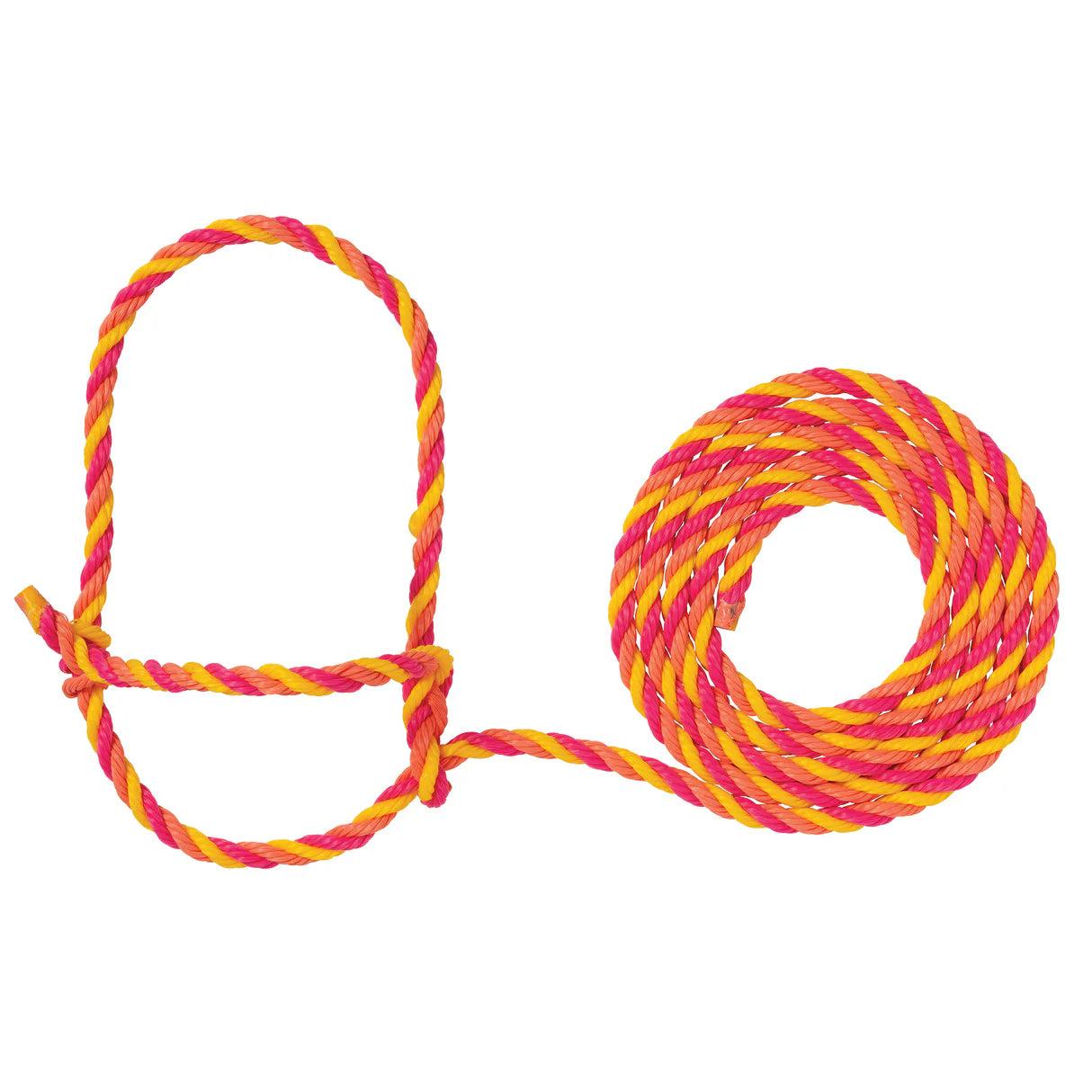 Pink, orange and yellow rope halter with a loop for cattle on a white background