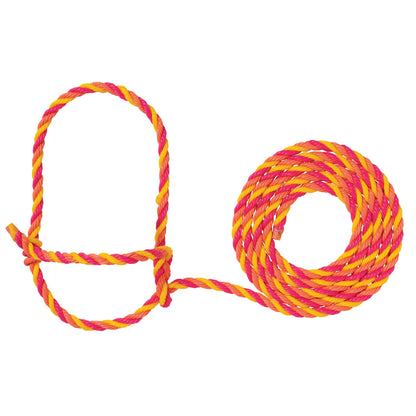 Pink, orange and yellow rope halter with a loop for cattle on a white background