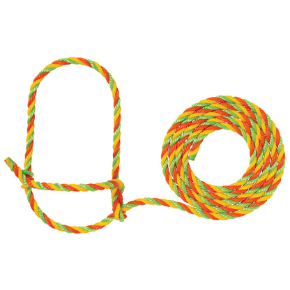 orange, yellow and green rope halter with a loop for cattle on a white background