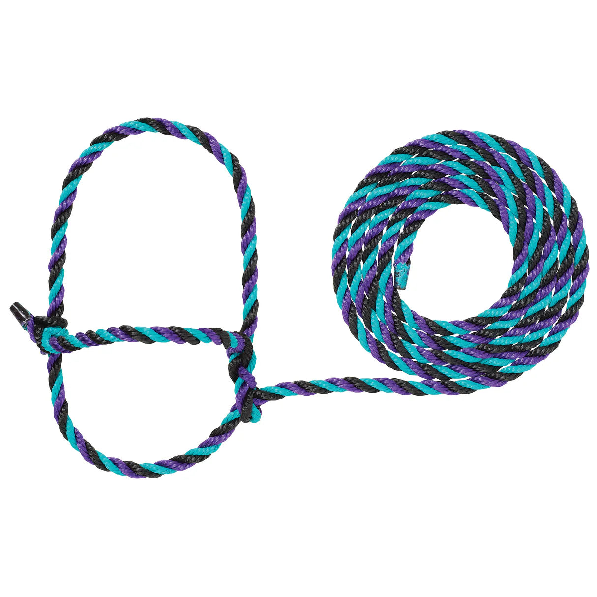 Purple, teal and black rope halter with a loop for cattle on a white background