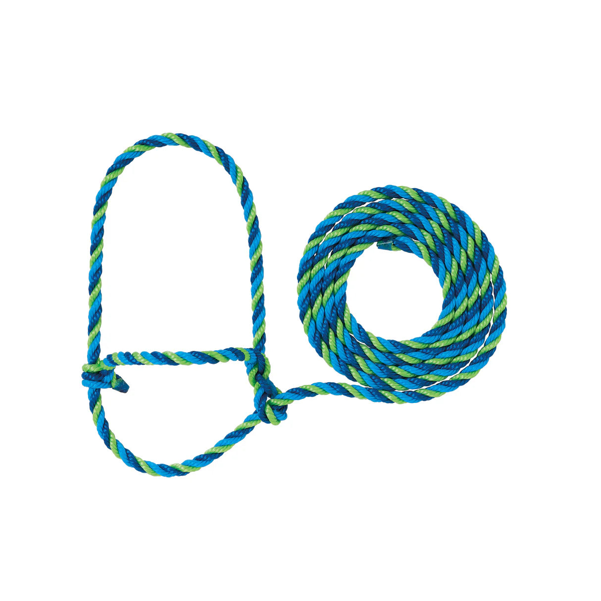 Blue and green rope halter with a loop for cattle on a white background