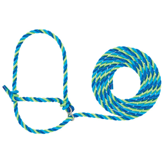 Blue and green rope halter for cattle with a metal loop on a white background