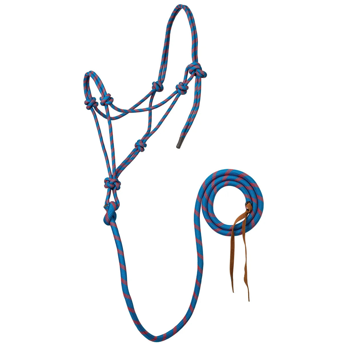 A blue and red braided rope halter with matching lead rope and leather tie, displayed on a clean white background.