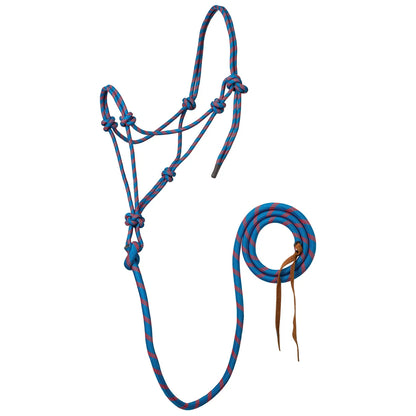 A blue and red braided rope halter with matching lead rope and leather tie, displayed on a clean white background.