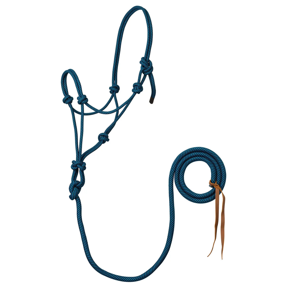 A blue and black braided rope halter with matching lead rope and leather tie, displayed on a clean white background.