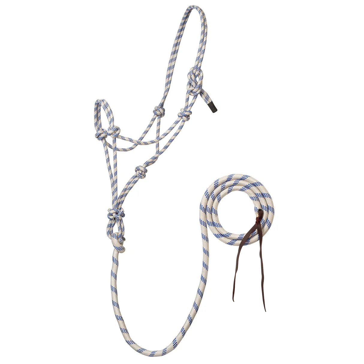 White & blue rope halter for horses with attached lead rope on a white background
