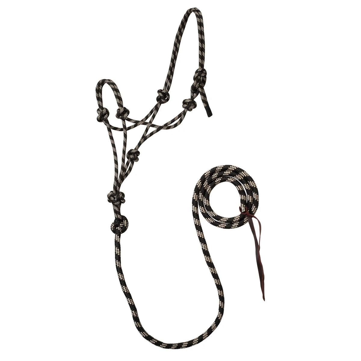 A black and tan braided rope halter with matching lead rope and leather tie, displayed on a clean white background.