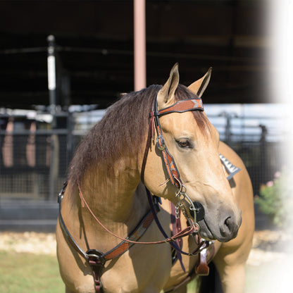 'Tomahawk' Browband Headstall by Professional's Choice®
