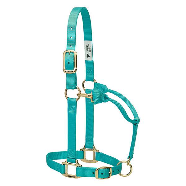 mint nylon horse halter with brass plated hardware, including a buckle and throat snap, and box-stitching at stress points.