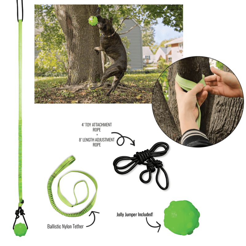 Dog toy with ball and leash, showing usage and components on a white background.