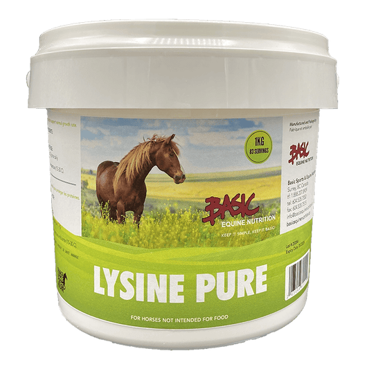 a container of lysine pure by basic equine nutirition with a horse in a field on the label