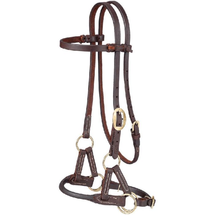 Brown leather horse bridle with brass hardware on a white background