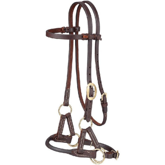Brown leather horse bridle with brass hardware on a white background