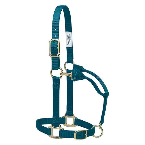 teal nylon horse halter with brass plated hardware, including a buckle and throat snap, and box-stitching at stress points.