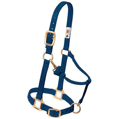 navy nylon horse halter with brass plated hardware, including a buckle and throat snap, and box-stitching at stress points.