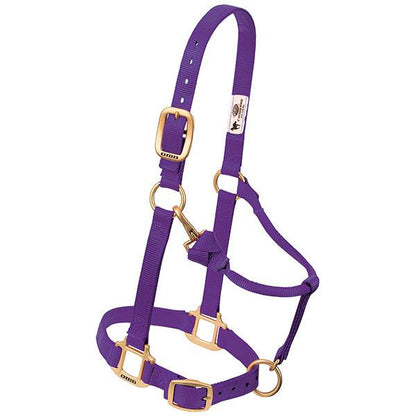 purple nylon horse halter with brass plated hardware, including a buckle and throat snap, and box-stitching at stress points.