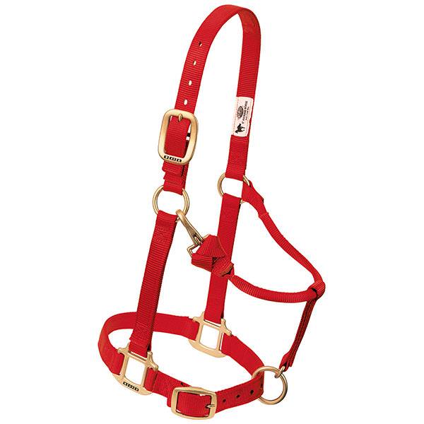 red nylon horse halter with brass plated hardware, including a buckle and throat snap, and box-stitching at stress points.