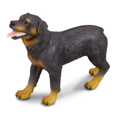 Rottweiler Figurine by CollectA®