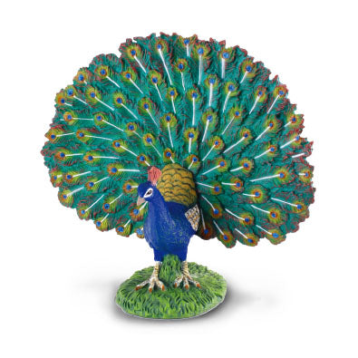 Peacock Figurine by CollectA®