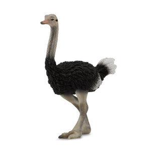 Ostrich Figurine by CollectA®