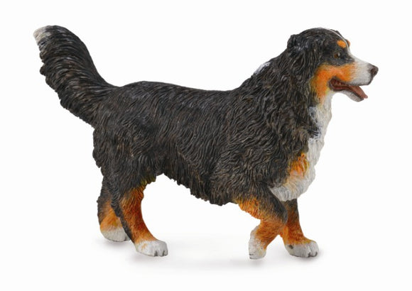 Bernese Mountain Dog Figurine by CollectA®