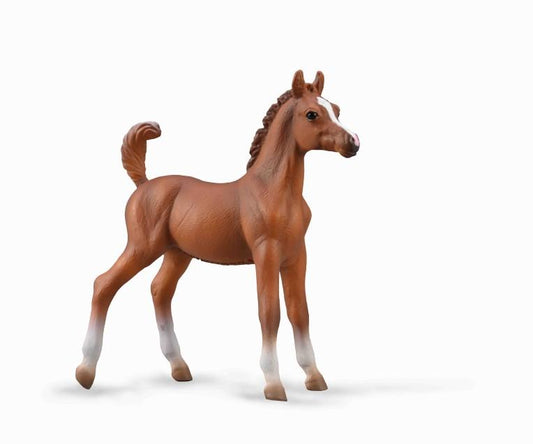 Chestnut Arabian Foal Figurine by CollectA®