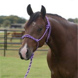 Equisential™ Rope Halter With Lead by Professional's Choice®