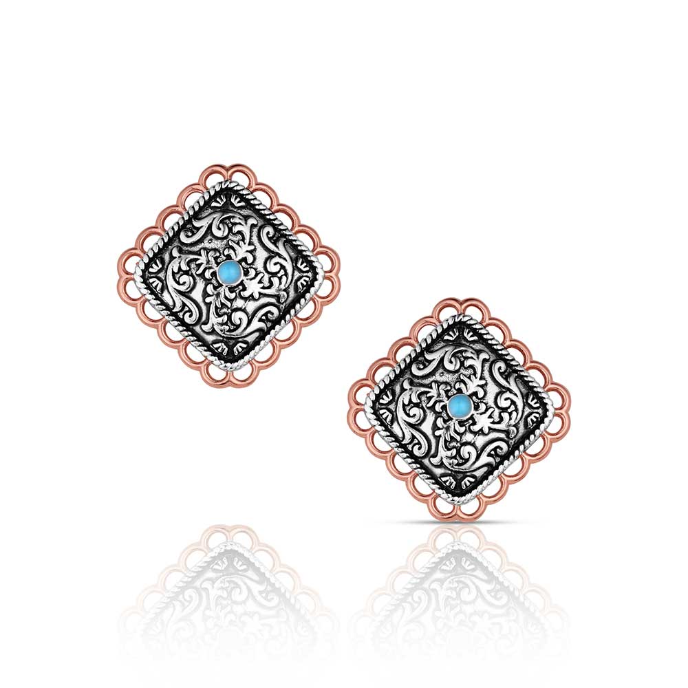 Pair of ornate Montana Silversmiths earrings with black patterns and blue gemstones on a white background