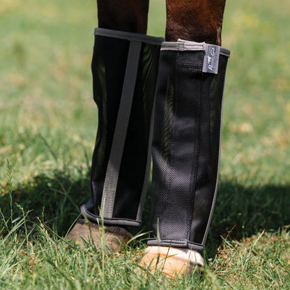 a horse wearing black fly boots on a grass background