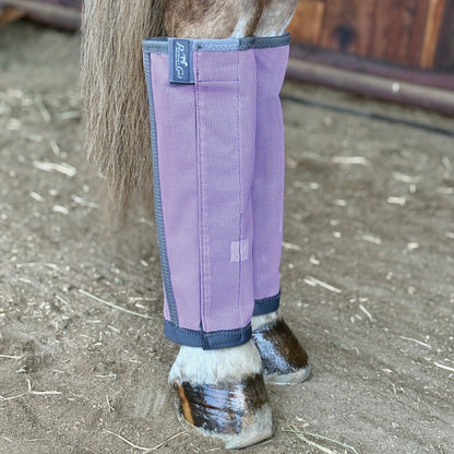 Horse leg with purple protective leg wraps on a stable floor.