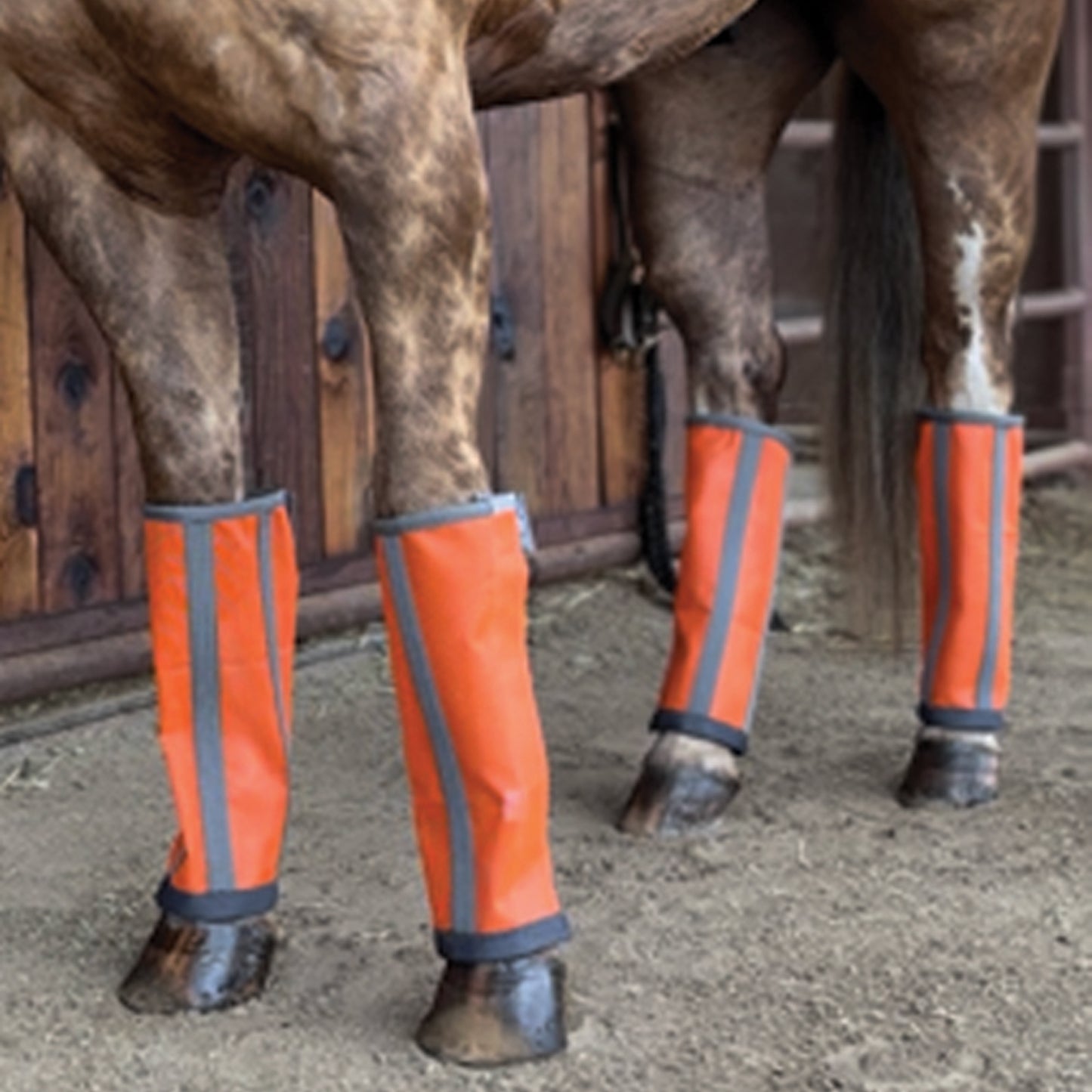 Horse wearing orange protective leg wraps with reflective stripes in a stable.