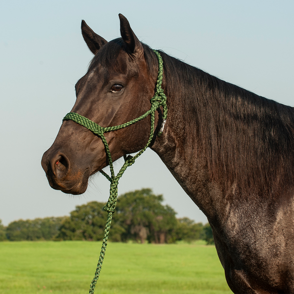 Mule Tape Halter & Lead by Cashel®