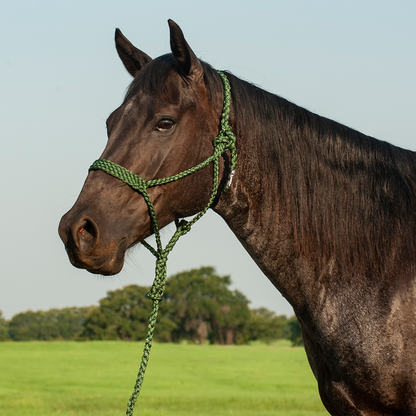Mule Tape Halter & Lead by Cashel®