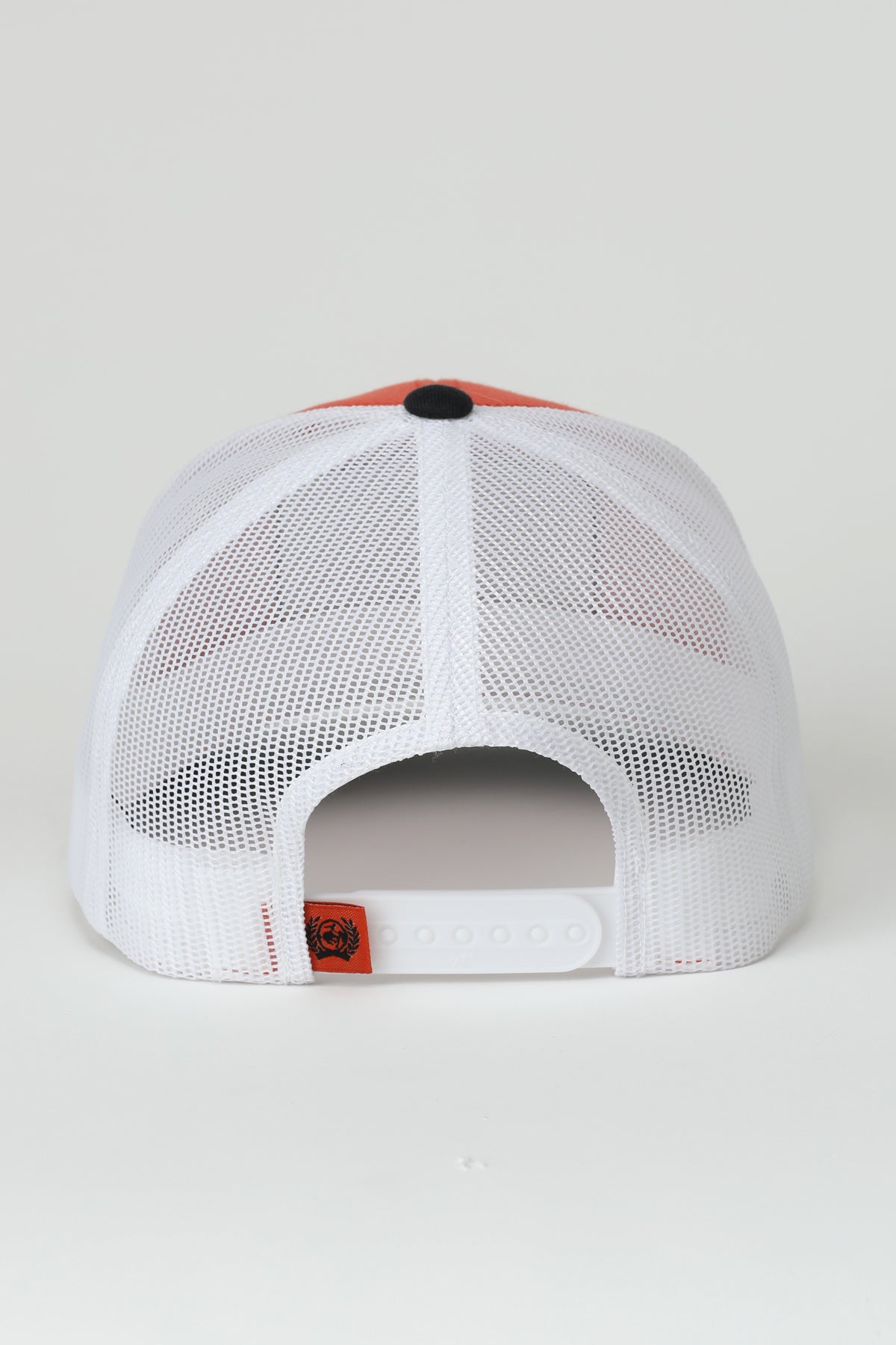 white bash back of a Cinch ball cap on a white background