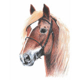 More Joy® Swedish Dishcloth