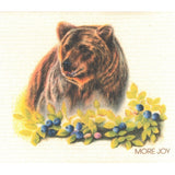 More Joy® Swedish Dishcloth