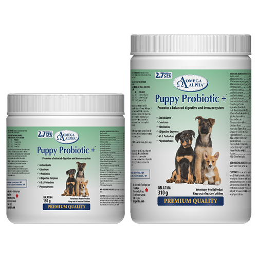 Puppy Probiotic +™ by Omega Alpha®