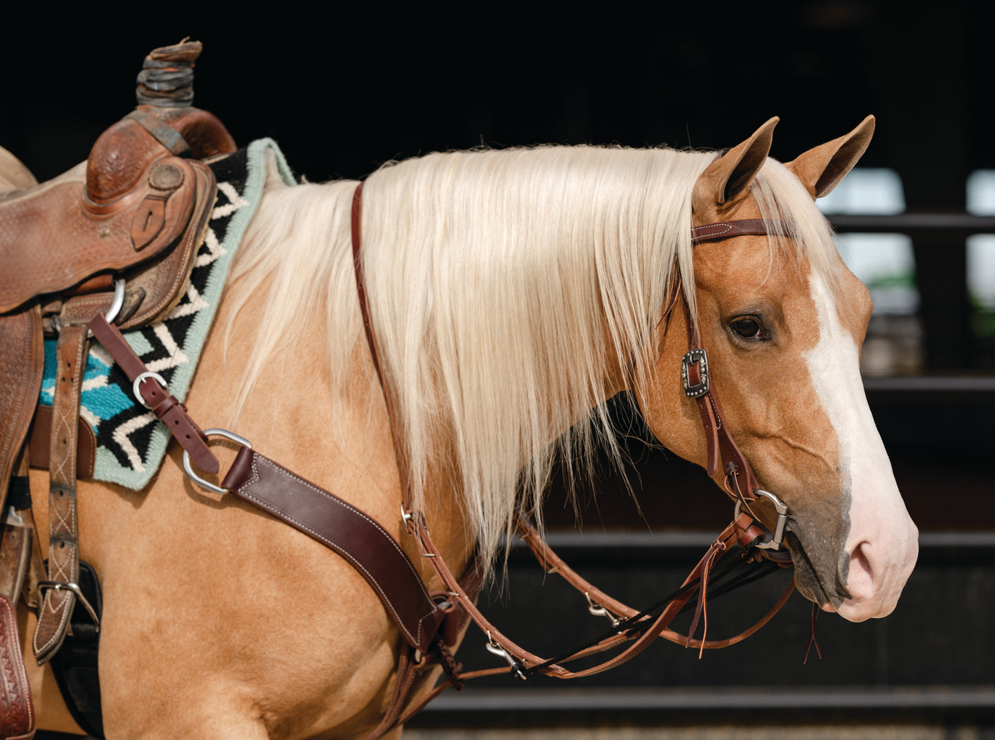 Single Rein German Martingale by Professional's Choice®
