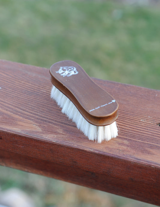brush by professional choice with wooden handle