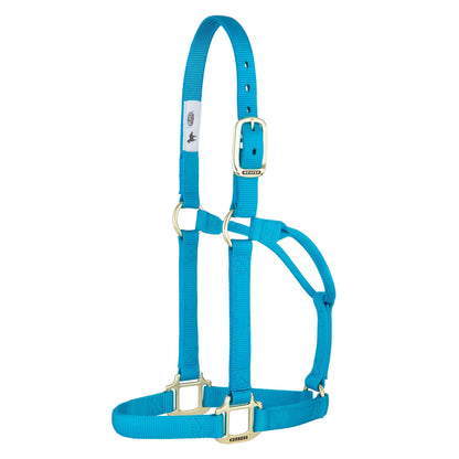 a hurricane blue nylon web halter with brass hardware