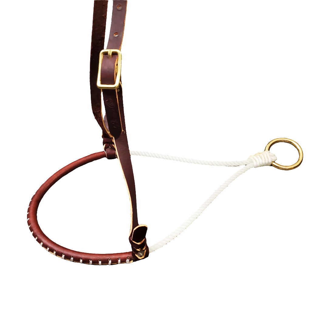 Laced 1/4" Rope Nose Band by Professional's Choice®