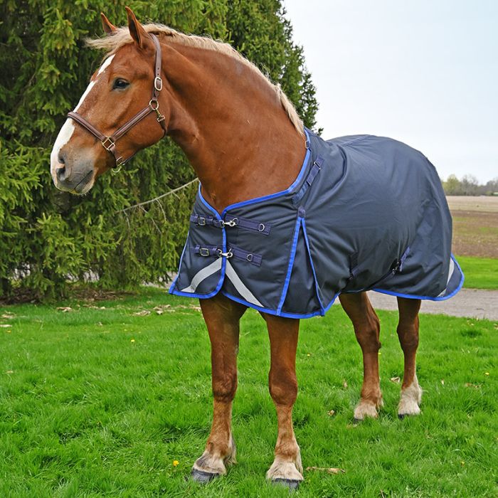 'Big Fella' 300gm Draft Horse Winter Blanket by Canadian Horsewear Co.®