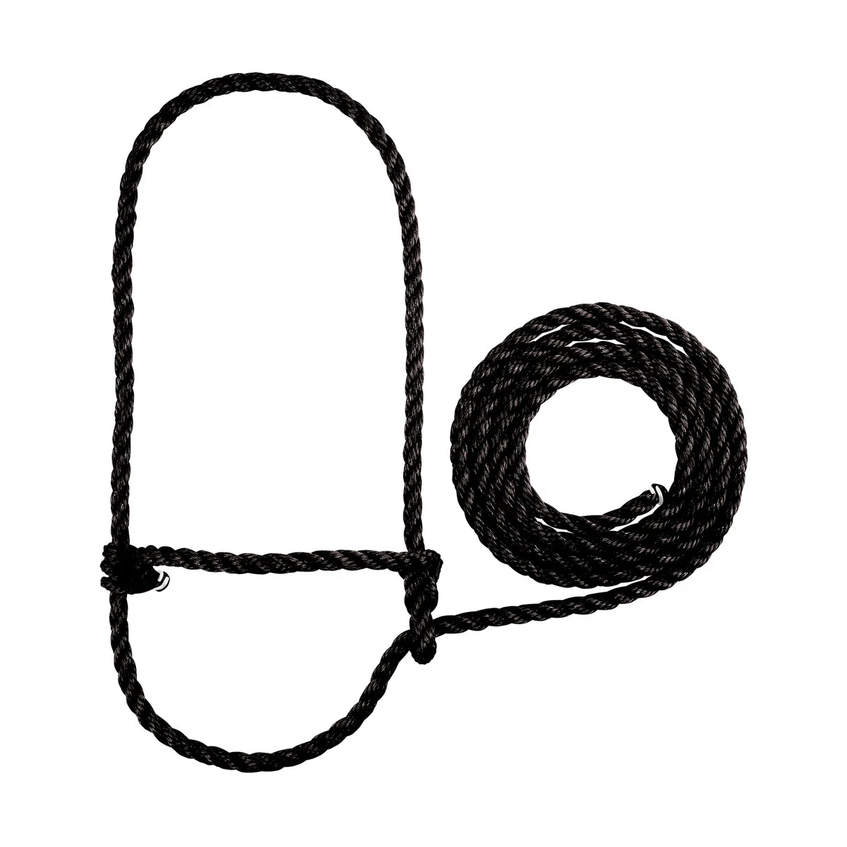 Black rope halter for cattle with a loop on a white background