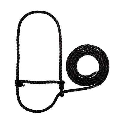 Black rope halter for cattle with a loop on a white background
