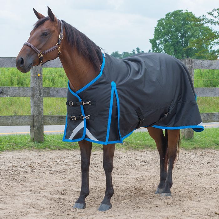 Seaport 'Diablo' 300gm  Winter Blanket by Canadian Horsewear Co.®