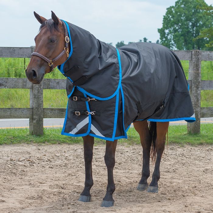 Seaport 'Diablo' 300gm  Winter Blanket by Canadian Horsewear Co.®